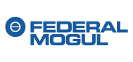 Federal Mogul logo